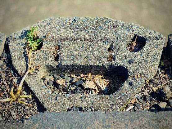 A scrunched, octagonal brick with rocks and wood chips around it somewhat resembles an excited face.