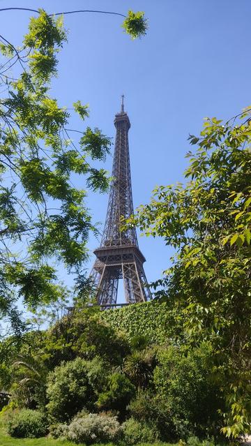 Eiffel dorrearen bigarren eta hirugarren solairuak, hostoen artean.