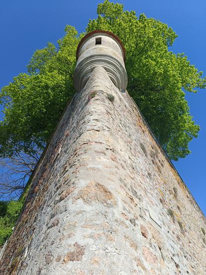 Vue prise au pied de l'éperon pointu de la fortification, avec l'échauguette en contre-plongée comme coiffée par les feuilles d'un arbre. Le ciel est bleu.