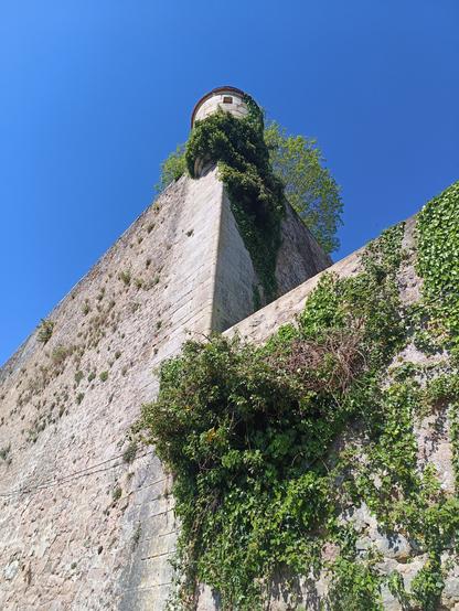 Vue en contre-plongée d'une échauguette et de remparts de 2 hauteurs différentes, dont une partie est recouverte de végétation. Le ciel est bleu.