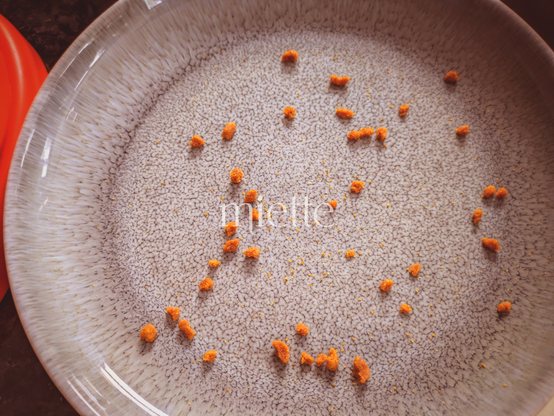 Photo d'une assiette où il reste juste plein de petites miettes de croquettes pour chat.te. Par-dessus au milieu, texte blanc qui dit : "miette".