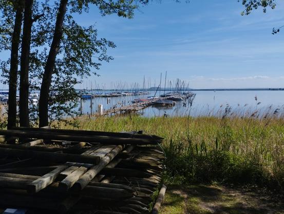 Ein Bootssteg auf dem Steinhuder Meer.