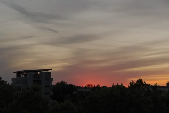 Coucher de soleil rouge et orangé par dessus la cime des arbres, d'où un immeuble émerge.