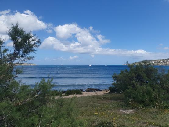 Im Vordergrund wachsen Sträucher und Gräser. Dahinter trennt der Strand das Meer vom restlichen Land. Einige Boote segeln am  Horizont. Einige Wolken verzieren den blauen Himmel.
