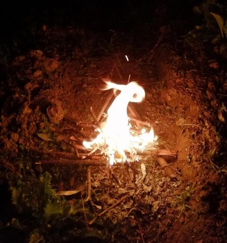 Suzko kirrua

Rizo de fuego

Roule de feu

Fire curl