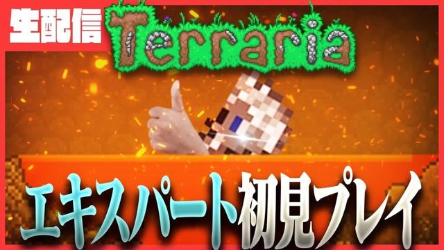 初めて遊ぶエキスパートテラリアンへの道【Terraria】