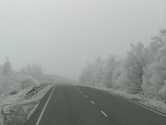 Trees heavily laden with hoar frost line the right-hand side of a misty road, leafed in white. On the left is frozen grass, and dimly visible trees in the distance