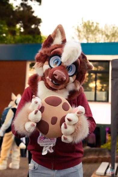 A suiter holding a plush cookie