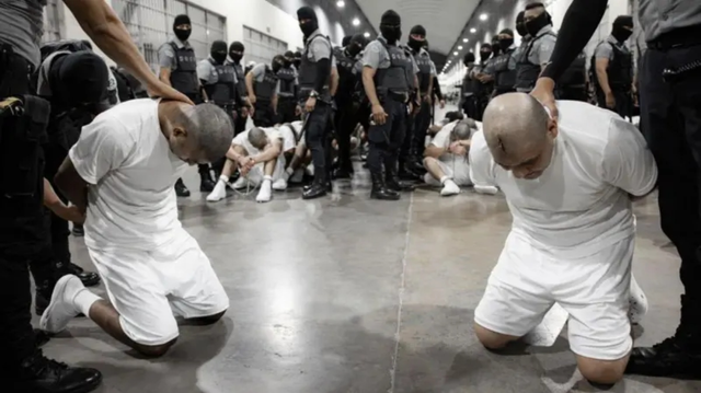 Shaved prisoners that are held down by their necks while kneeling at CECOT: