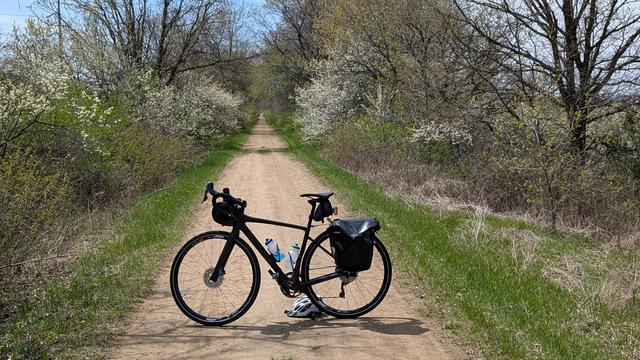 Dark brown Diverge bicycle parked on the crushed rock La Crosse River State Trail looking West with flowering plum trees on either side of the trail.