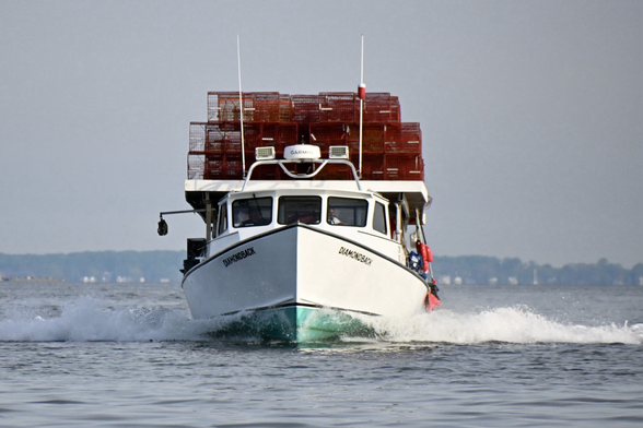 Dead rise workboat with red crab pots on top. Coming into shore