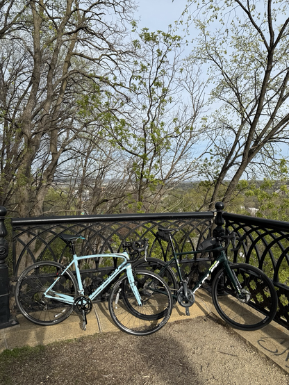 Two road bikes are parked against a black wrought iron railing on a scenic overlook. Behind them, leafing and bare trees stretch into the distance under a pale blue sky. The bikes—a light blue one on the left and a dark green one on the right—are positioned on a concrete and dirt path with the railing curving around the viewpoint.