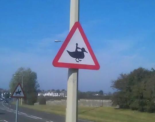 A triangular road sign with a red border. In the center is a duck walking. On top of the duck is a small stick-figure that looks like it's riding the duck
