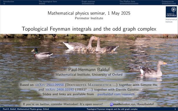 The title page of my talk. Besides the title and subtitle, it features a photograph of geese with little goslings.