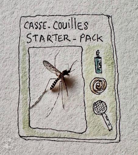Starter pack dessiné avec un vrai moustique posé à la place de la figurine. Titre Casse-couilles Starter Pack. Les accessoires sont un contenant de produit, un serpentin à faire brûler et une raquette électrique