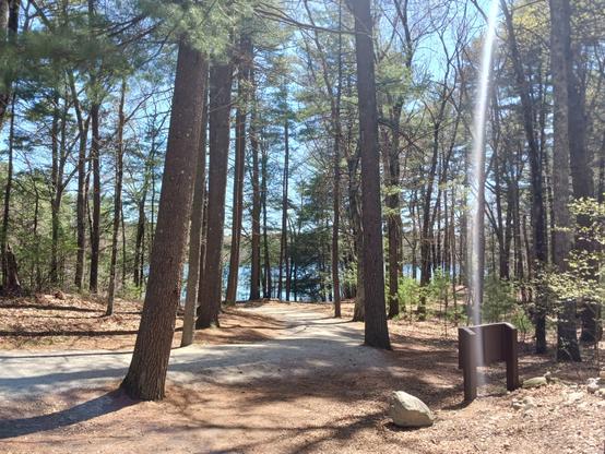 Photo taken from Thoreau's original house site, showing the view he would have had of the blue waters of the pond through the trees of the woods. It's a sunny day and there a vertical light streak on the right side of the photo.