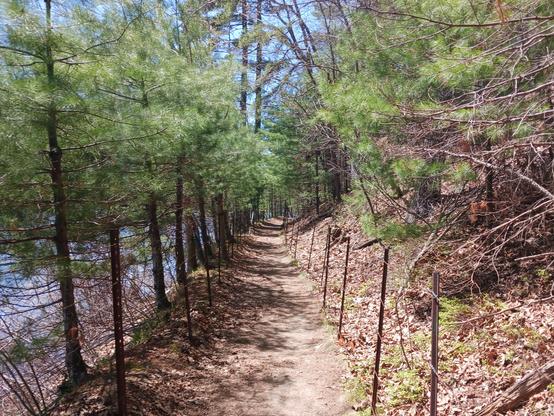 Photo of the walking trail around Walden Pond. The narrow dirt path is bordered by a wire fence on either side to prevent people from going off-trail. To the right there are woods. On the left, there's a narrow band of trees through which the pond can be seen.