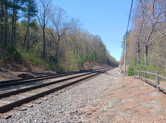Photo of 2 sets of railroad tracks stretching diagonally across the frame from the bottom left into the distance towards the right, with trees on either side. This is the Fitchburg Line of the MBTA Commuter Rail, formerly the Fitchburg Railroad in Thoreau's day, on the west side of Walden Pond.
