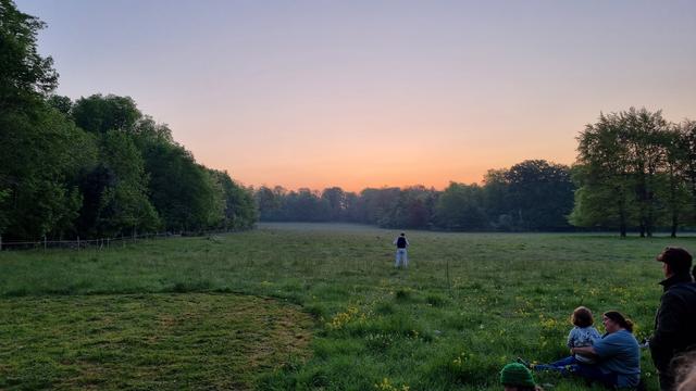 A solitary melodeon player greets the sunrise, in a misty field.