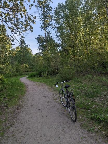 Bike on a path through a deciduous woods