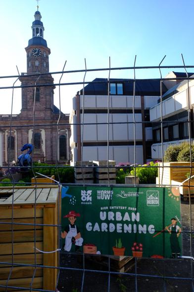 Blick durch eine Bauzaun-Absperrung auf den von der StadtWorms eingerichteten Urban-Gardening-Bereich aus ansonsten verfallenen Mitteln des Stadtmarketings. Am Zaun im Vordergrund ein Schild mit der Aufschrift "Hier entsteht Euer Urban Gardening". Hinter dem Zaun sichtbar Hochbeetkästen aus hellem Holz, im Hintergrund das Gebäude der Volksbank und die Dreifaltigkeitskirche.
