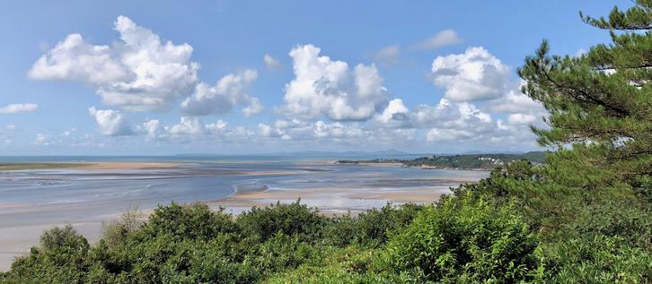 This picture captures a stunning coastal landscape likely taken from an elevated viewpoint. In the foreground, there's lush green foliage and pine trees framing the scene. The view extends over an expansive tidal estuary with sandbanks and shallow water channels creating intricate patterns. Beyond the estuary, the sparkling blue sea stretches toward the horizon under a bright sky filled with fluffy white clouds. In the distance, the land rises gently with hills and scattered buildings visible, giving a sense of peaceful natural beauty typical of coastal areas in Wales.