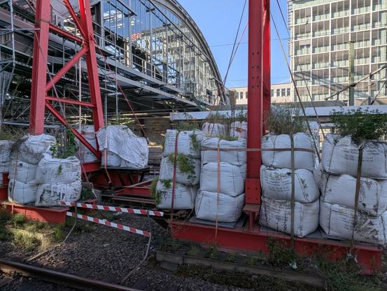 Pflanzen wachen aus dem Sand, der für die Stabilisierung eines Gerüst benutzt wird