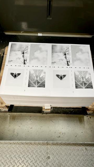 A stack of printed sheets for the covers of both publications.