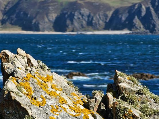 Rough, lichen-covered rocks in the foreground overlook a blue ocean and distant, dark cliffs under a bright sky.