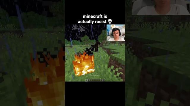 Minecraft Horse Moment
