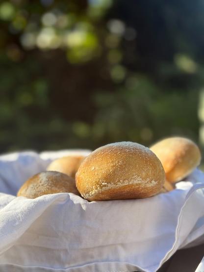 Frisch gebackene Brötchen, in einem mit einem weißen Tuch ausgelegten Brotkorb. Sie werden zum Teil von einer noch niedrig stehenden Sonne beschienen, was in starkem Kontrast steht zu dem unscharfen, dunklen Grün im Hintergrund. Offenbar eine Szene von einem Frühstück im Freien.