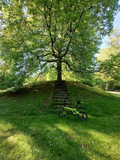 Grünes Faltrad am Fuß einer kleinen Erhebung, auf die eine Treppe führt und auf der oben eine mächtige Rosskastanie in voller Blüte steht. Ort: Hauptfriedhof Ohlsdorf in Hamburg