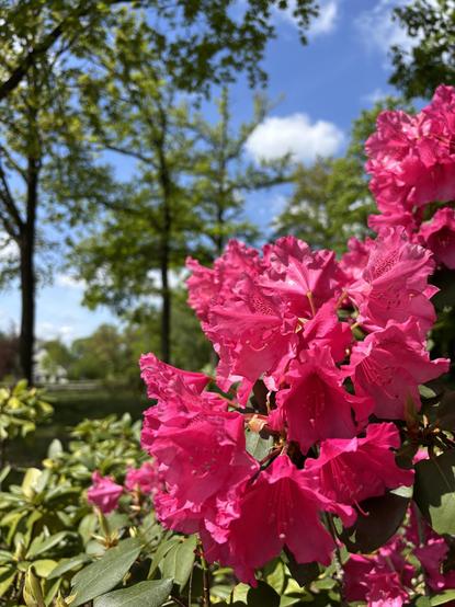 ZALF Campus

Foto: Leonie Nitz / ZALF