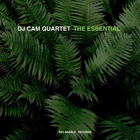 Cover: Dj Cam - Cantaloop Island