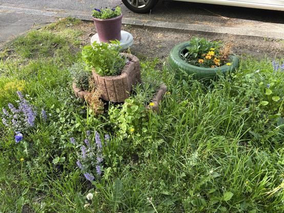 Das Bild zeigt eine kleine, grüne Gartenecke, die mit verschiedenen Pflanzen und Blumen geschmückt ist. Im Vordergrund befindet sich ein kleiner Baumstamm, der als Blumenkasten dient und mit verschiedenen Pflanzen gefüllt ist, darunter einige mit violetten Blüten. Neben dem Baumstamm steht ein roter Topf auf einem weißen Behälter, ebenfalls mit Pflanzen gefüllt. Rechts im Bild ist ein grüner Reifen als Blumenkasten genutzt, der mit gelben und orangen Blumen bepflanzt ist. Der Rasen ist üppig und grün, mit vereinzelten Blumen wie Lavendel. Im Hintergrund ist ein Teil einer Straße und ein Teil eines Autos zu sehen.