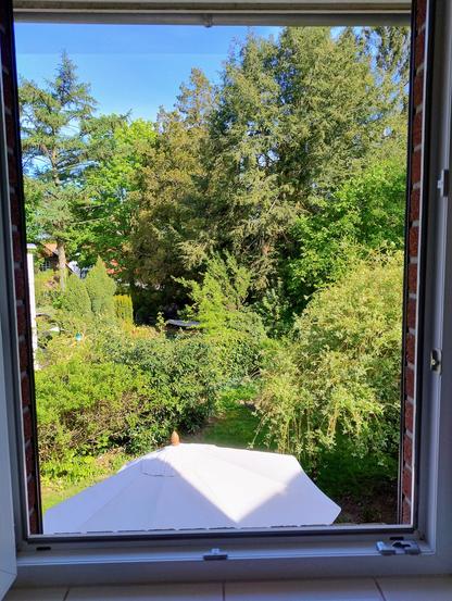 Blick aus dem ersten Stockwerk auf unseren und Nachbars Garten. Gebäude sind nur zu erahnen, weil Pflanzen, Hecken und große Bäume alles verdecken. Im Vordergrund ein Sonnenschirm.