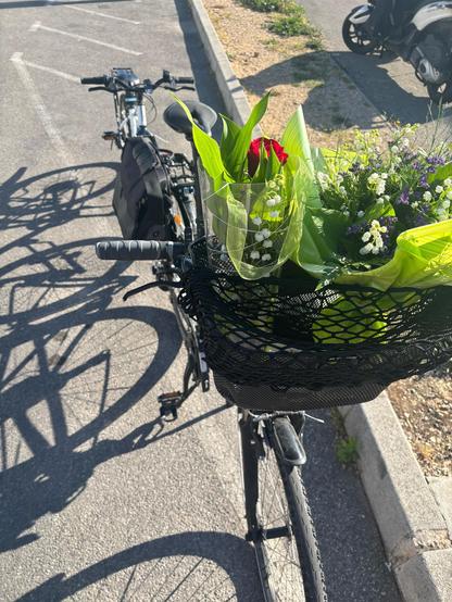 Photo de mon vélo qui transporte du muguet pour mon épouse et ma mère. Note: tout est arrivé sans problème