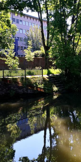 Sonnig leuchtende Bäume und sonstiges Grün, das sich im Wasser des König-Ludwig-Kanals spiegelt.
Der Ausschnitt der hochkanten 2:1-Aufnahme ist so gewählt, dass der Verlauf des Astgrüns das Gesamtbild rahmt.