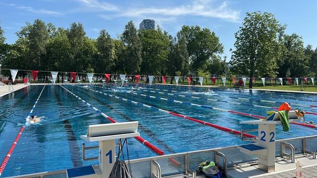 Stadionbad Wien. Das neue 50m Becken. Leinen und Wendewimpel sind eingezogen. Das Becken ist umsäumt von Bäumen. Ein paar wenige Schwimmer*innen sind im Wasser.
