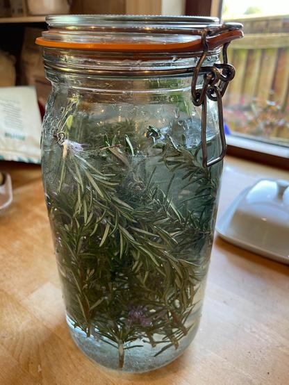 sugar water and rosemary - 3L pot and I will just leave these at room temp now and they will be fizzy in a couple of days (as the kitchen is v warm). I'm hoping a fizzy rosemary drink will be delish...