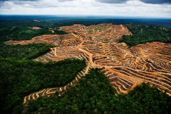 #News: Scientists call for #storytelling in #science to effectively communicate #climatechange and #extinction in order to push for urgent action. Time to connect data with emotion to inspire people.  #Biodiversity #ScienceCommunication #SciComms https://www.sciencedaily.com/releases/2025/04/250402123035.htm?utm_source=mastodon&utm_medium=Palm+Oil+Detectives&utm_campaign=publer