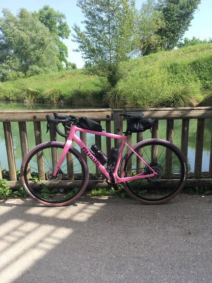 Un vélo de gravel Guava Spot rose malabar équipé de pneus GravelKing violets posé contre une barrière en bois du bassin du Canal Latéral à Montech.