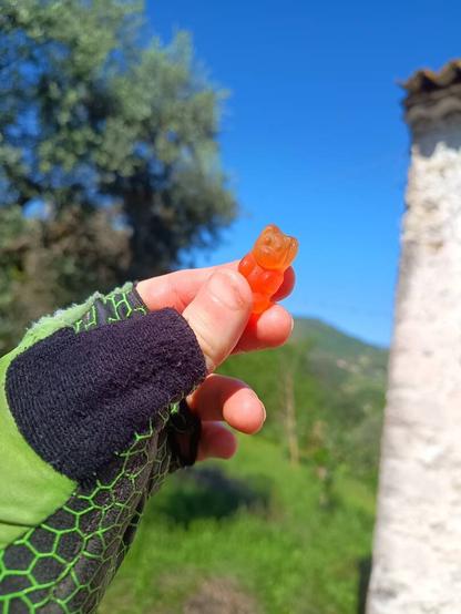 Una mano con guanto da bici regge un orsetto gommoso arancione intenso, contro uno sfondo sfocato di verde, cielo e l'angolo di un caseggiato.