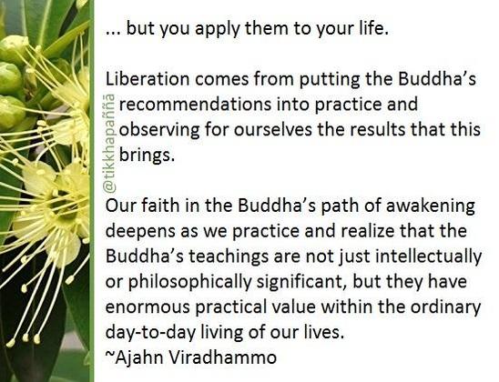 ... but you apply them to your life.
Liberation comes from putting the Buddha’s recommendations into practice and observing for ourselves the results that this brings.
Our faith in the Buddha’s path of awakening deepens as we practice and realize that the Buddha’s teachings are not just intellectually or philosophically significant, but they have enormous practical value within the ordinary day-to-day living of our lives.
~Ajahn Viradhammo