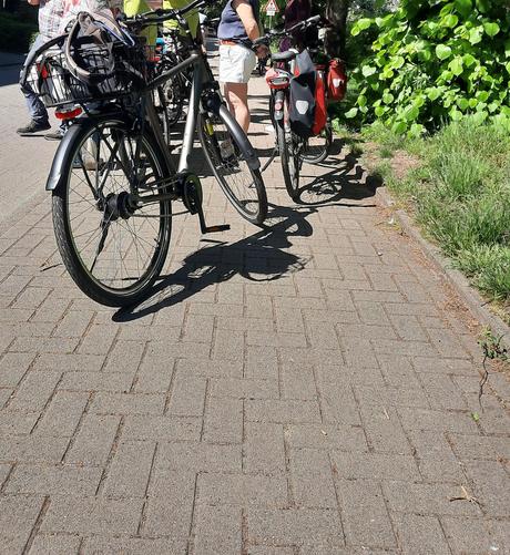 Bild zeigt Gruppe von Fahrrädern, die auf dem Gehweg abgestellt wurden.