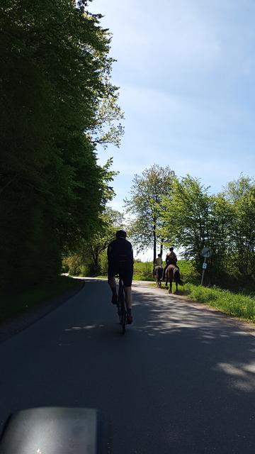 Eine asphaltierte Nebenstraße an einem Waldrand und Feld. Voraus ein Rennradfahrer und zwei Reiterinnen.
