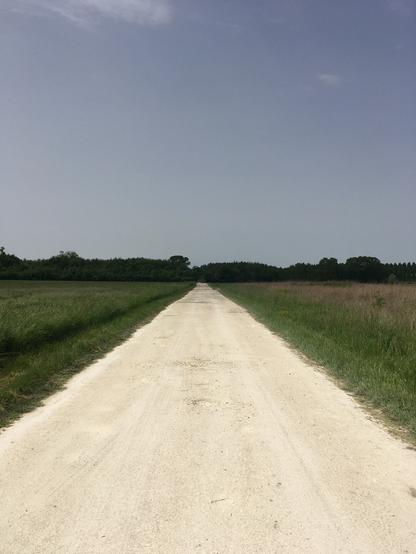Une route de graviers blancs délimitant deux champs. Au fond, comme souvent, le bord d'un bois et donc une belle rangée d'arbres.