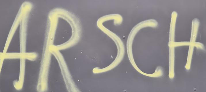 Graffiti an einer Häuserwand in Berlin.
Text: "Arsch"