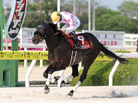 【園田・兵庫CS結果】マテンロウコマンドが4連勝で重賞初制覇（netkeiba） - Yahoo!ニュース