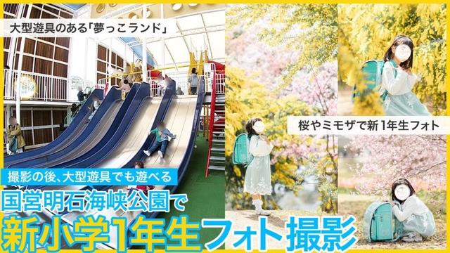 入学フォトのおススメスポット。新小学生になった娘の「新1年生記念フォト」を撮影しに淡路島にある国営明石海峡公園へ。ペットの撮影にも人気！撮影の後は大型遊具のある公園「夢っこランド」でも遊べて子供も満足